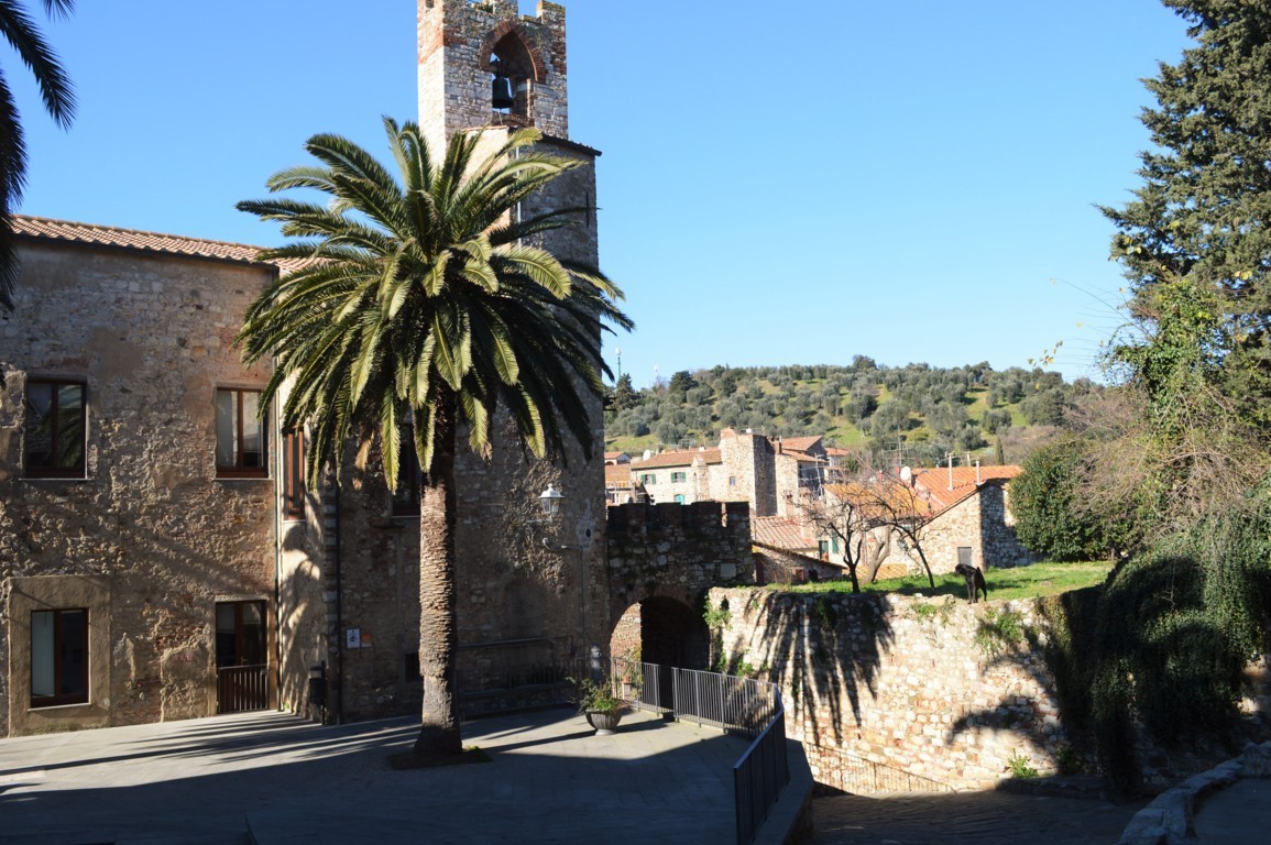 PALAZZO 14 